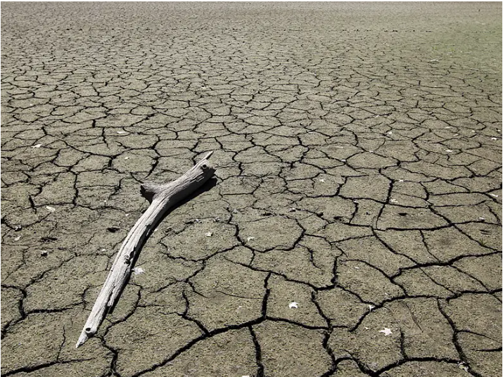 Drought, source of food insecurity and malnutrition